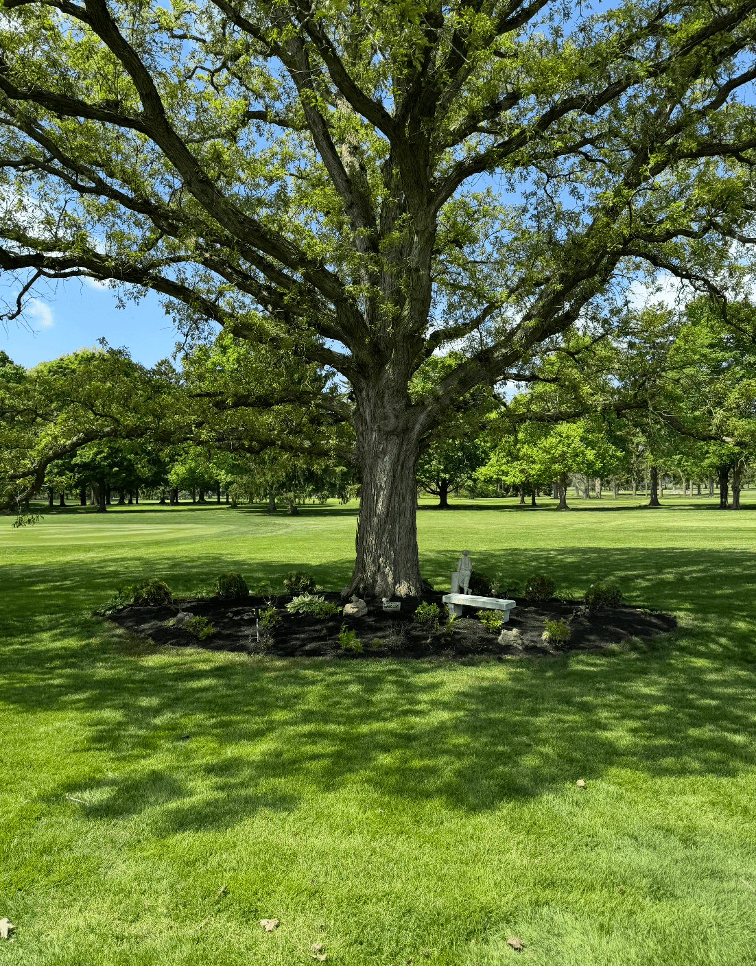 Beautifully maintained lawn and landscaping